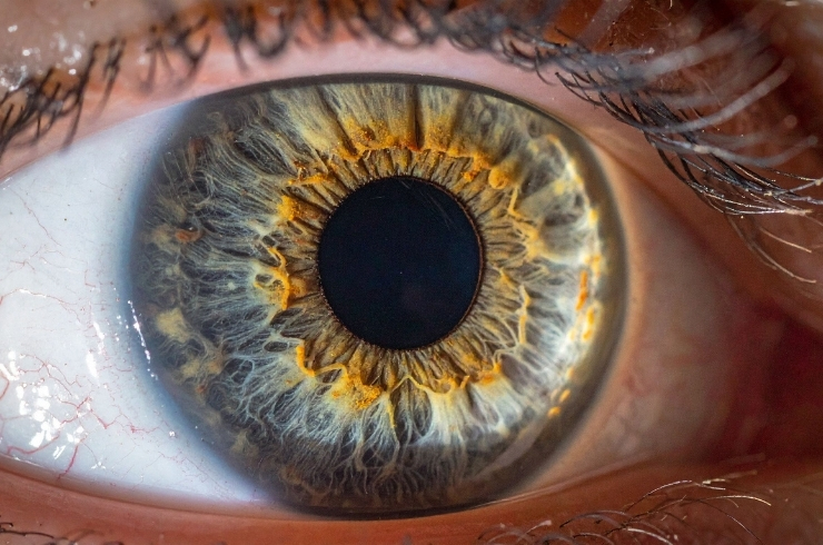 Close up view of human eye cornea and iris for cornea treatment and diagnosis